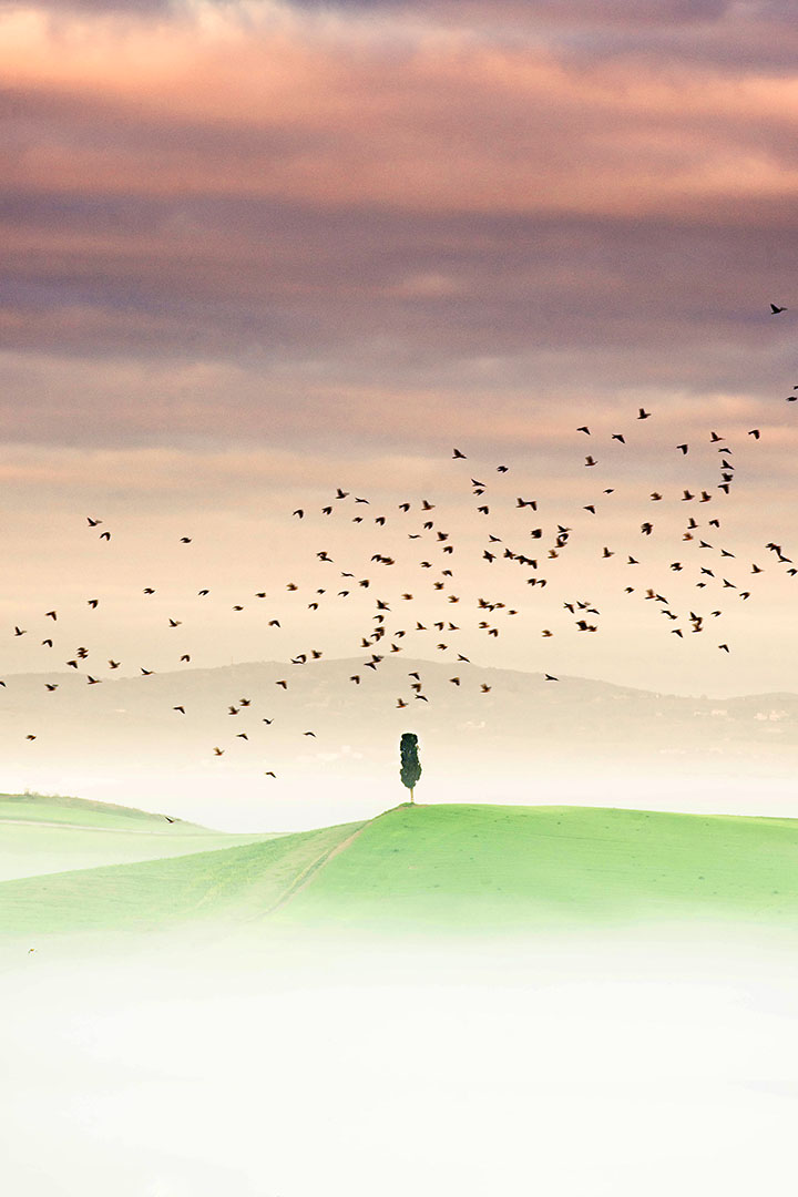 web-valdorcia-013
