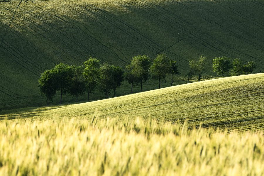 web-Country-4