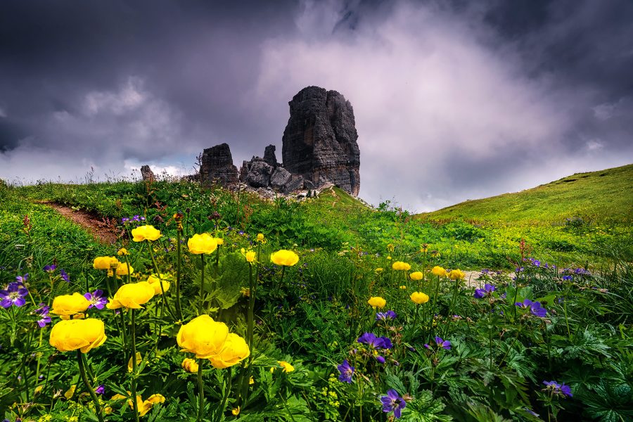web-Dolomiti202507-7213