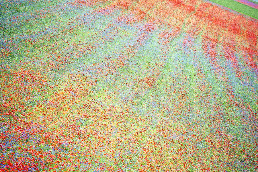 web-Impressionismo DSC_6350