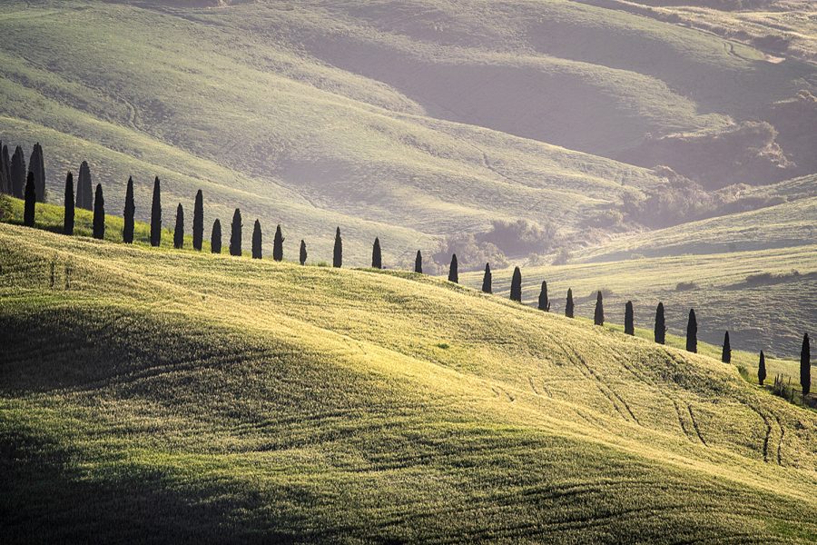 web-Orcia2024-1599