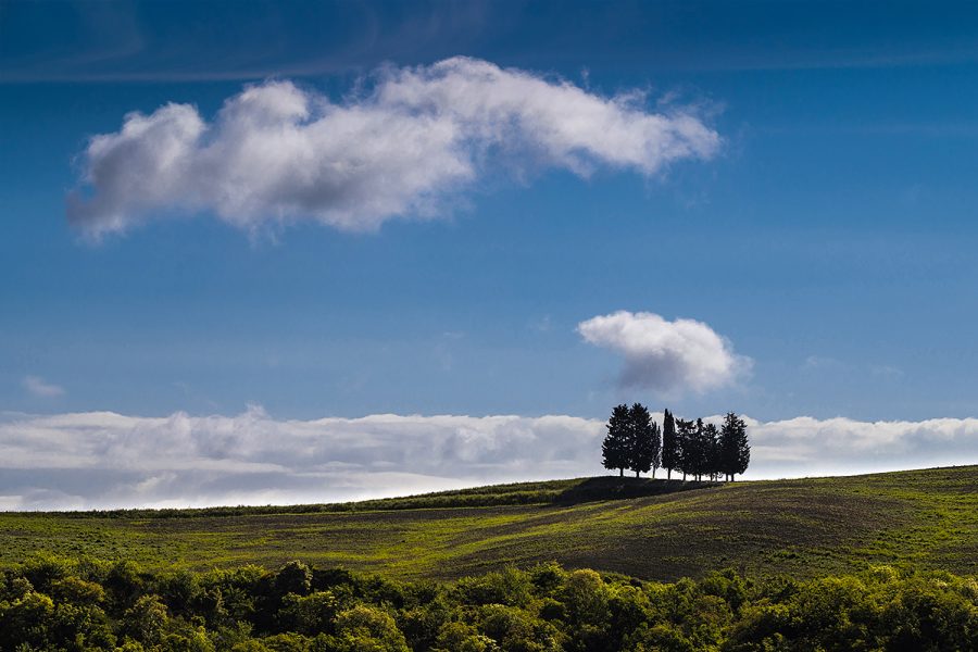 web-Orcia2024-1631_4