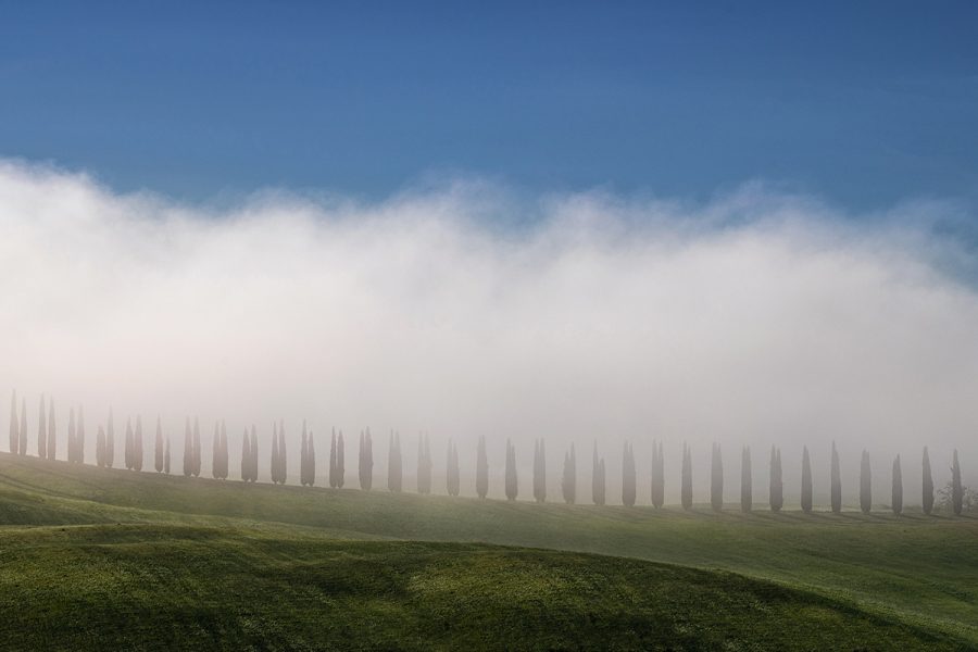 web-Orcia2024-2074_v2