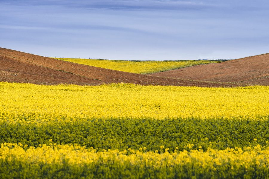 web-colline2022-119v2