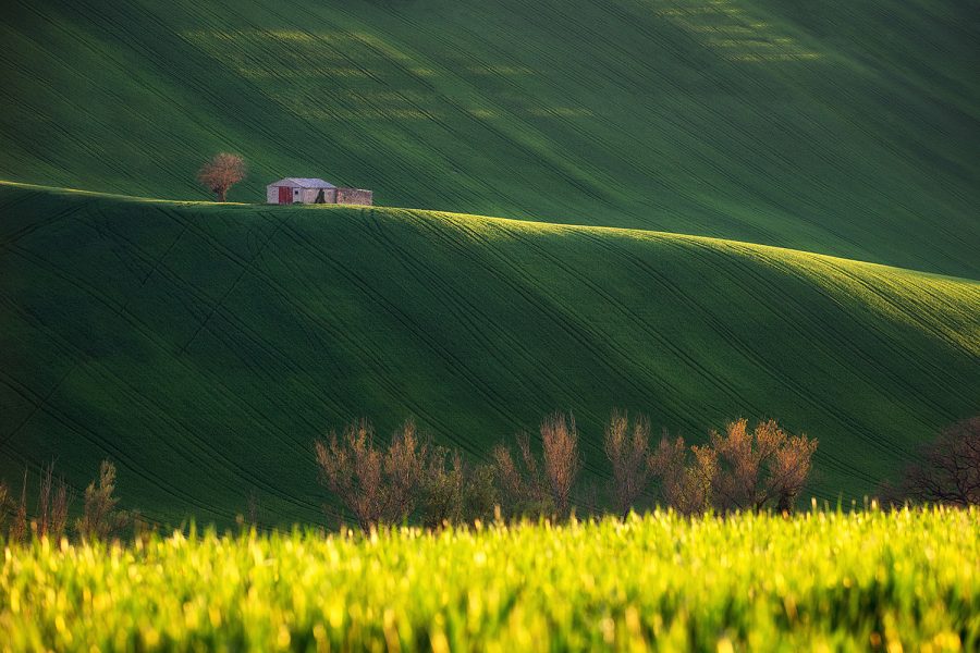 web-colline2022-11_v2