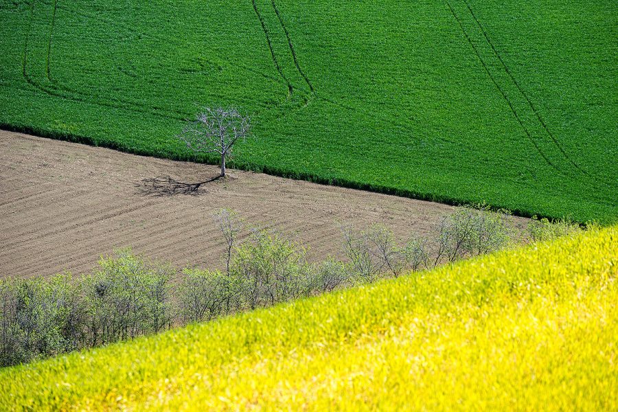 web-colline2022-15