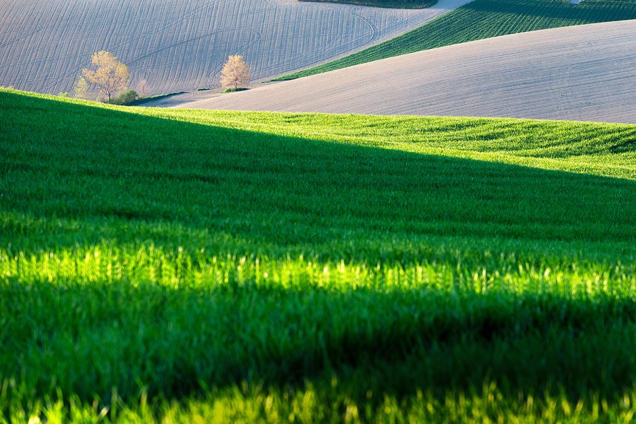 web-colline2022-2