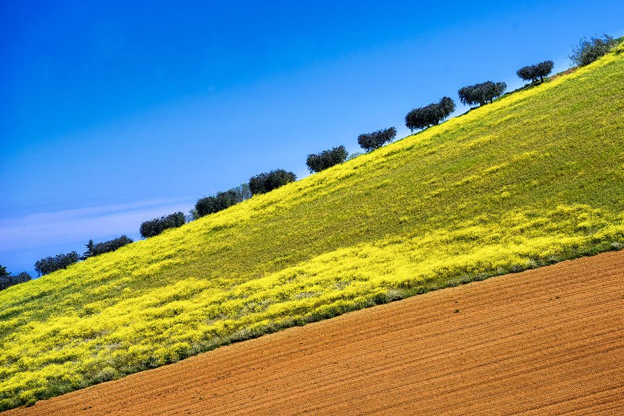 web-colline2022-20