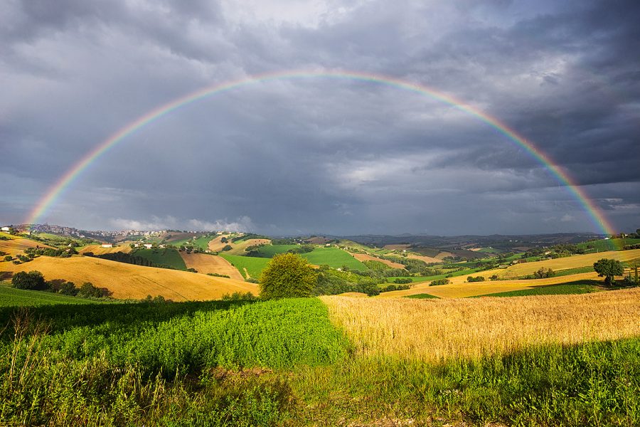 web-countryrain-2