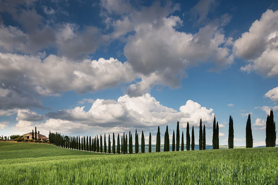web-valdorcia-002